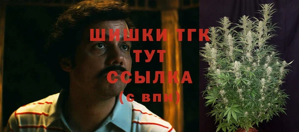 ГАЛЛЮЦИНОГЕННЫЕ ГРИБЫ Алзамай