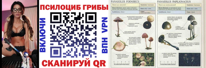 МЕГА сайт  Ипатово  Псилоцибиновые грибы Cubensis 