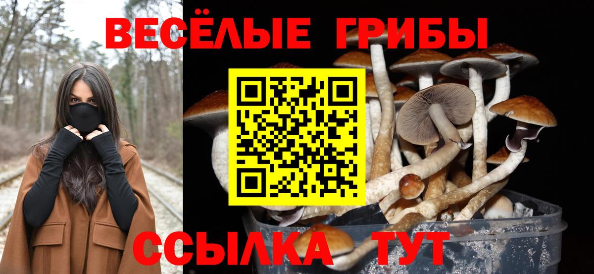 Псилоцибиновые грибы Magic Shrooms  Псилоцибиновые грибы ЛСД  Вход с VPN  Ипатово 